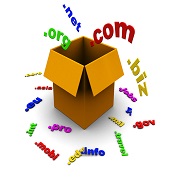 domain name and web hosting